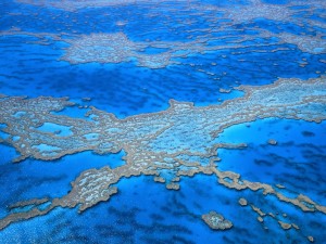 barriera-corallina-australia