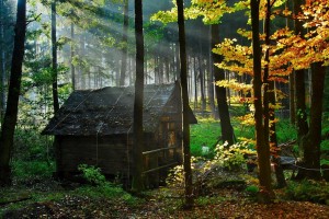 casa-nel-bosco